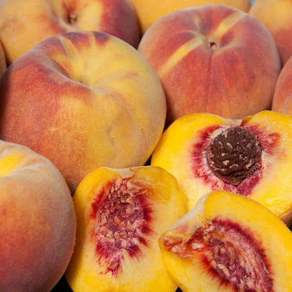 August Pride Yellow Peach
