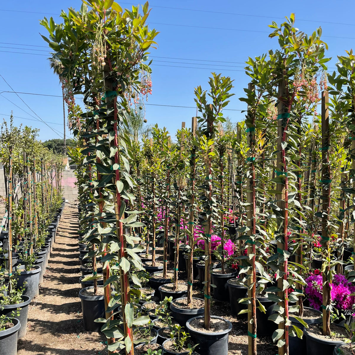 image_12f50a6e-ec67-4f3e-9941-