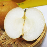 20th Century Nijisseiki Asian Pear