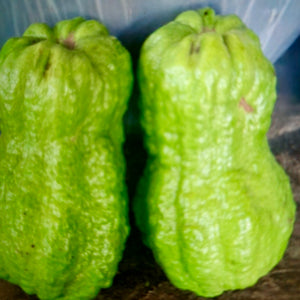 Thailand Peanut Guava