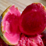Giant Pink Guava