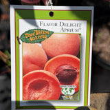 Flavor Delight Aprium - C&J Gardening Center