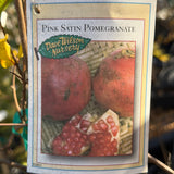 Pink Satin Pomegranate