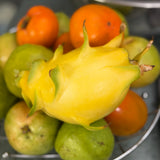 Golden Dragon Fruit