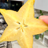 Fwang Tung Starfruit