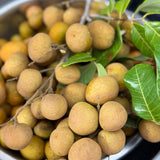 Kohala Longan - C&J Gardening Center