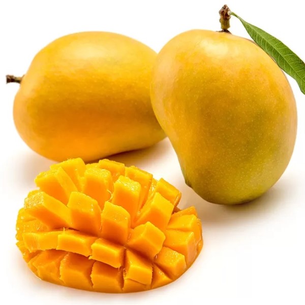 alphonso mango