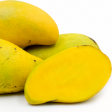 Choc Anon (Miracle) Mango - C&J Gardening Center