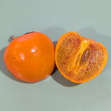 Coffeecake Persimmon - C&J Gardening Center