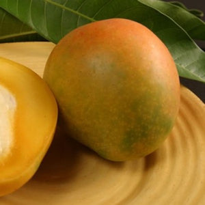 Florigon Mango