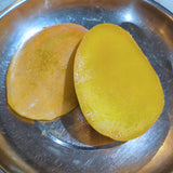 Florigon Mango - C&J Gardening Center
