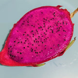 Red Dragon Fruit - C&J Gardening Center