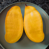 Valencia Pride Mango - C&J Gardening Center