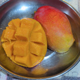 Van Dyke Mango - C&J Gardening Center