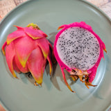 White Dragon Fruit - C&J Gardening Center