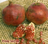 Pink Satin Pomegranate