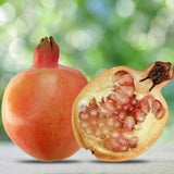 Eversweet Pomegranate