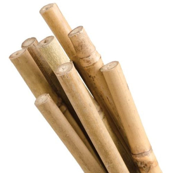 Natural Bamboo Stakes ( 6 Pack )