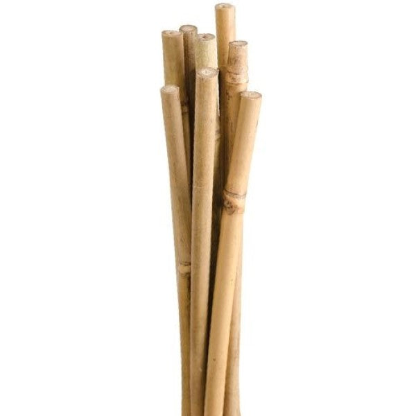 6' Bamboo Stakes, Natural, Pack of 25