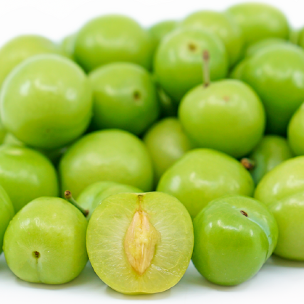 Persian Green Plum | C&J Gardening Center