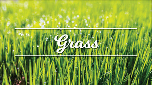 Grass Handling Fee - Tier 1 ( 200 to 499 Square Foot)