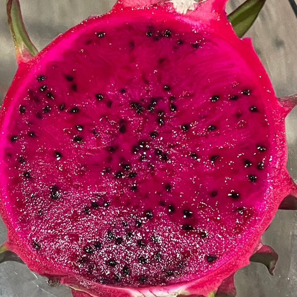 Red Dragon Fruit